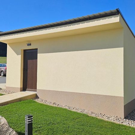 Apartman U Sucheho Buku - Bukova Hora Červená Voda المظهر الخارجي الصورة