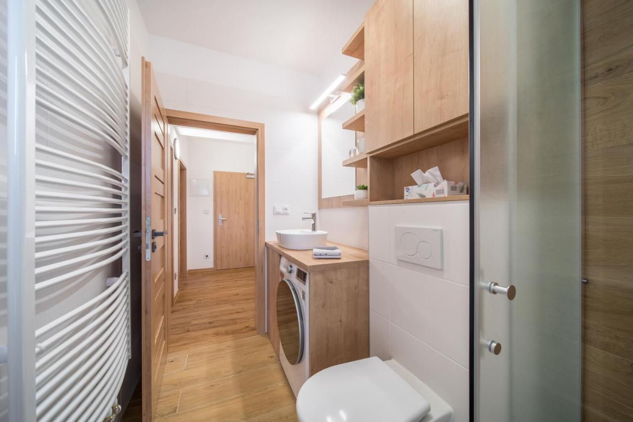 Apartman U Sucheho Buku - Bukova Hora Červená Voda المظهر الخارجي الصورة